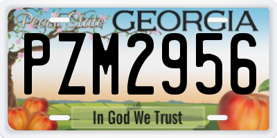 GA license plate PZM2956
