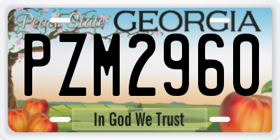 GA license plate PZM2960