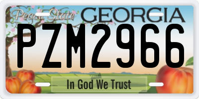 GA license plate PZM2966