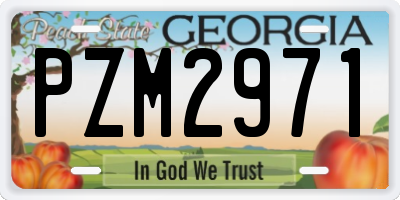 GA license plate PZM2971