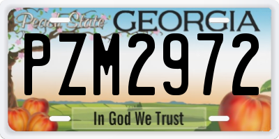GA license plate PZM2972