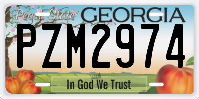 GA license plate PZM2974