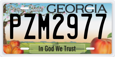 GA license plate PZM2977