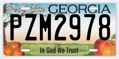 GA license plate PZM2978