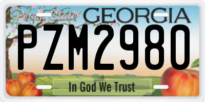 GA license plate PZM2980