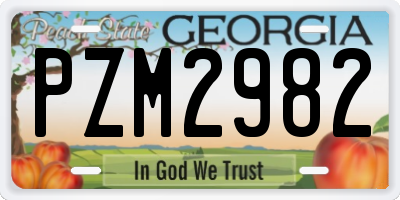 GA license plate PZM2982