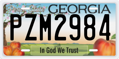 GA license plate PZM2984