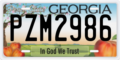 GA license plate PZM2986