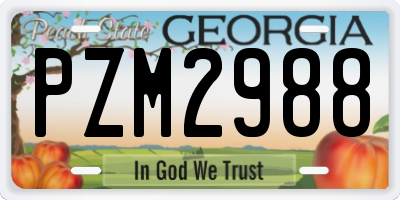 GA license plate PZM2988