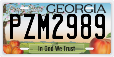 GA license plate PZM2989