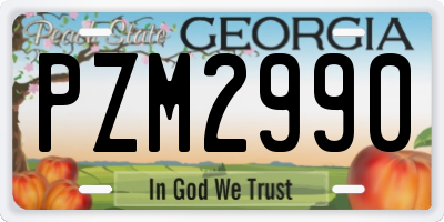 GA license plate PZM2990