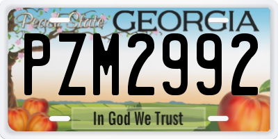 GA license plate PZM2992