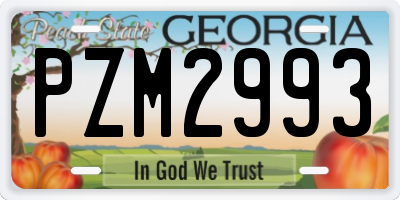 GA license plate PZM2993