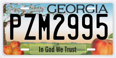 GA license plate PZM2995