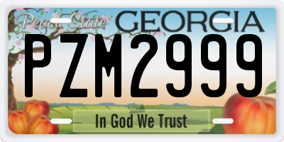 GA license plate PZM2999