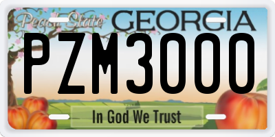 GA license plate PZM3000