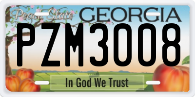 GA license plate PZM3008