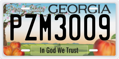 GA license plate PZM3009