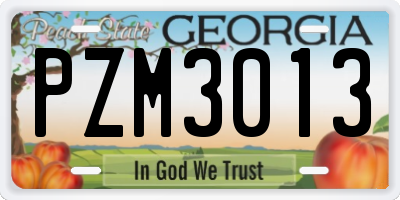 GA license plate PZM3013