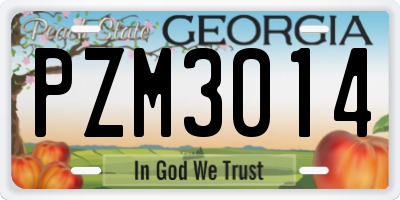 GA license plate PZM3014