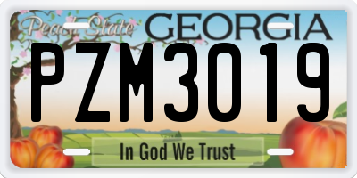 GA license plate PZM3019