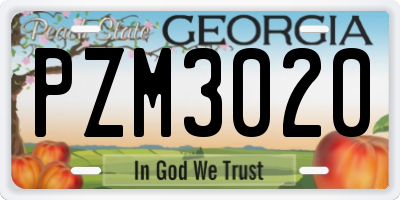 GA license plate PZM3020