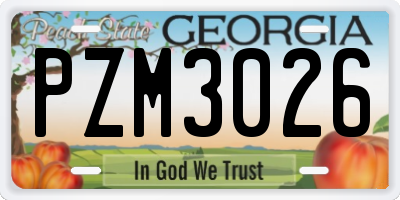 GA license plate PZM3026