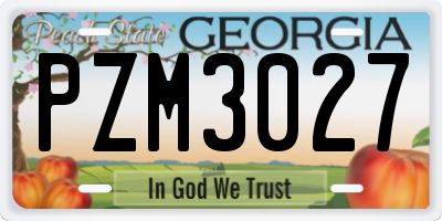 GA license plate PZM3027