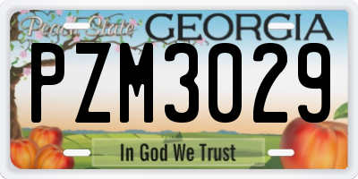 GA license plate PZM3029