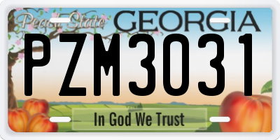 GA license plate PZM3031