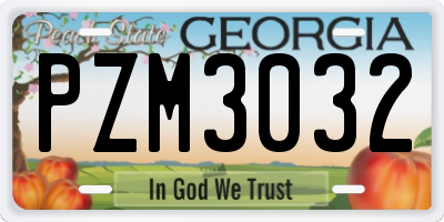 GA license plate PZM3032