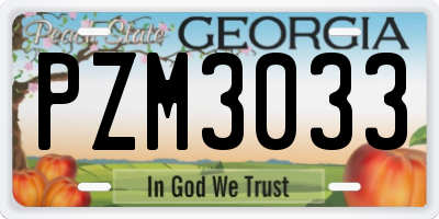 GA license plate PZM3033