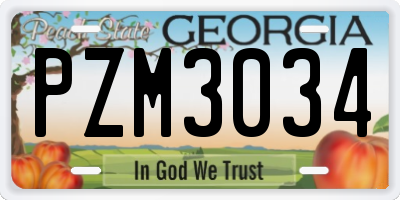GA license plate PZM3034