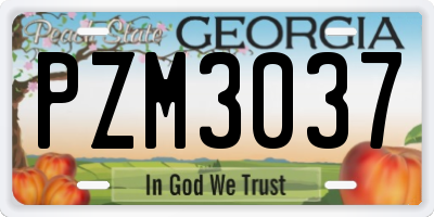 GA license plate PZM3037