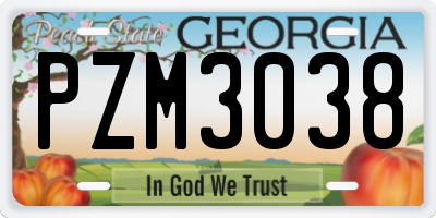GA license plate PZM3038