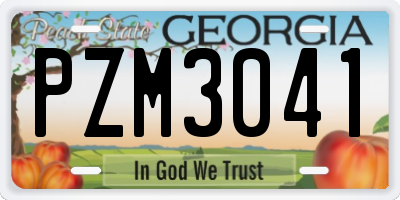 GA license plate PZM3041
