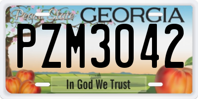 GA license plate PZM3042