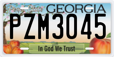 GA license plate PZM3045