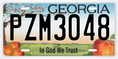 GA license plate PZM3048
