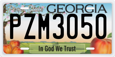 GA license plate PZM3050