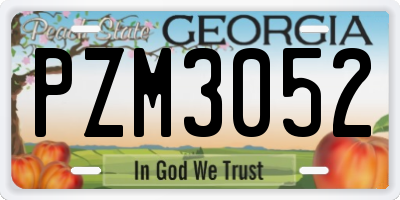 GA license plate PZM3052