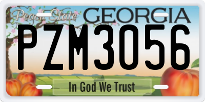 GA license plate PZM3056
