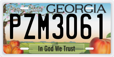 GA license plate PZM3061