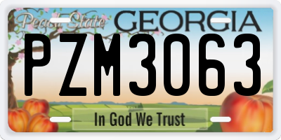 GA license plate PZM3063