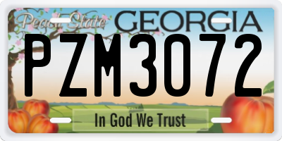 GA license plate PZM3072