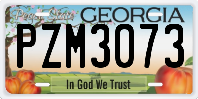 GA license plate PZM3073