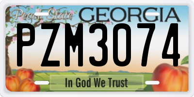 GA license plate PZM3074