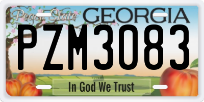 GA license plate PZM3083