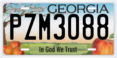GA license plate PZM3088
