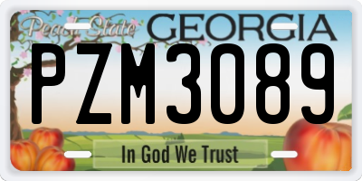GA license plate PZM3089